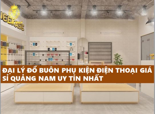 ĐẠI LÝ ĐỔ BUÔN PHỤ KIỆN ĐIỆN THOẠI GIÁ SỈ QUẢNG NAM UY TÍN NHẤT