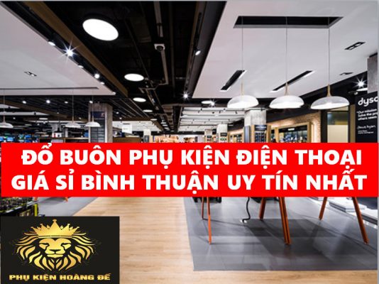 ĐỔ BUÔN PHỤ KIỆN ĐIỆN THOẠI GIÁ SỈ BÌNH THUẬN UY TÍN NHẤT