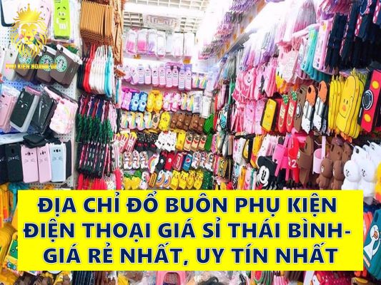 ĐỊA CHỈ ĐỔ BUÔN PHỤ KIỆN ĐIỆN THOẠI GIÁ SỈ THÁI BÌNH- GIÁ RẺ NHẤT, UY TÍN NHẤT