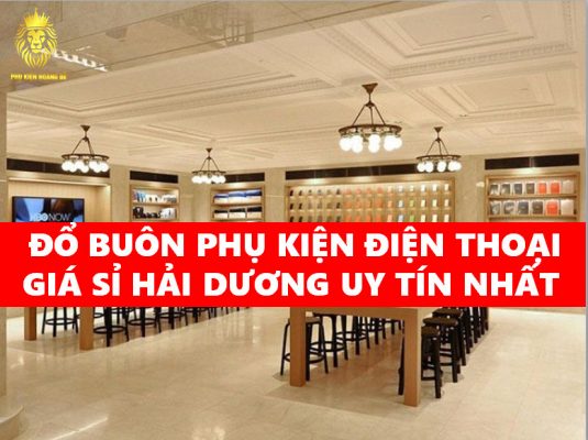 ĐỔ BUÔN PHỤ KIỆN ĐIỆN THOẠI GIÁ SỈ HẢI DƯƠNG UY TÍN NHẤT