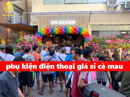 phụ kiện điện thoại giá sỉ cà mau