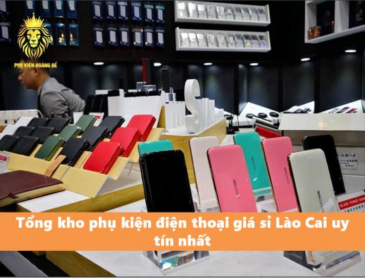 Tổng kho phụ kiện điện thoại giá sỉ Lào Cai uy tín nhất