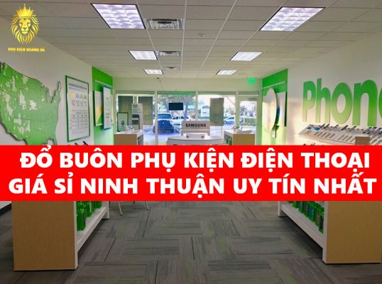 ĐỔ BUÔN PHỤ KIỆN ĐIỆN THOẠI GIÁ SỈ NINH THUẬN UY TÍN NHẤT