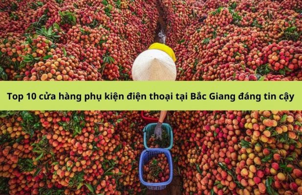 Top 10 cửa hàng phụ kiện điện thoại tại Bắc Giang đáng tin cậy