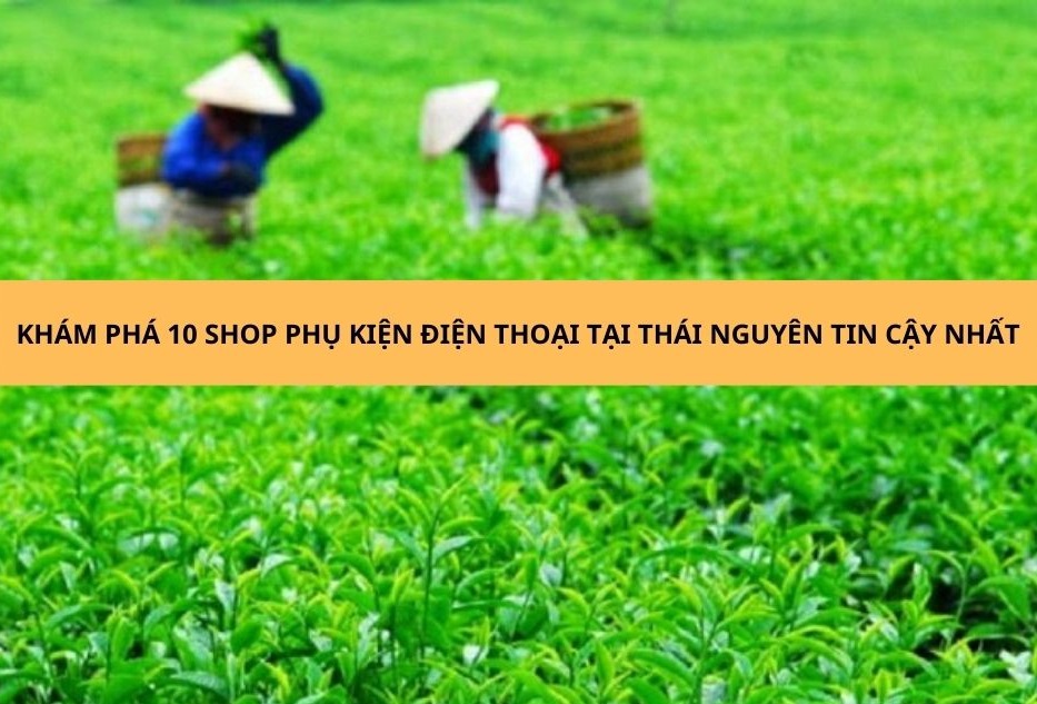 Khám phá 10 shop phụ kiện điện thoại tại Thái Nguyên đáng tin cậy nhất